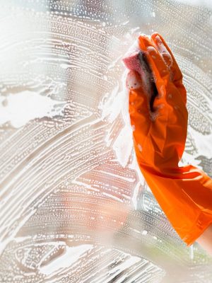 limpieza-particulares-2